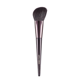 Cheek Brush B02