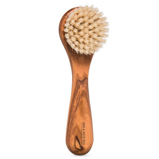 Complexion Brush