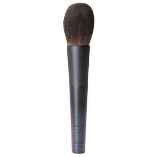 Face Brush